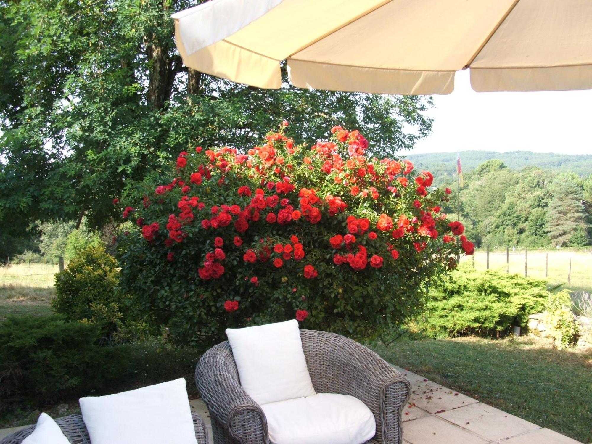 La Zenitude Villa Les Leches Exterior photo
